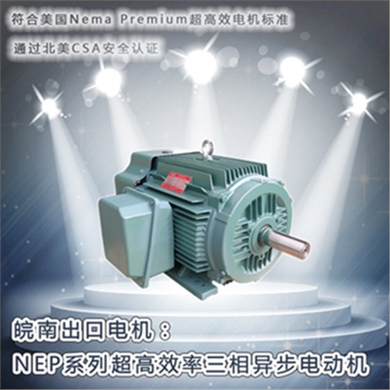 皖南電機-NEP系列超高效電機 皖南電機-NEP系列超高效電機