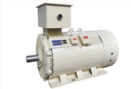 Y2系列高壓三相異步電動機 Y2系列高壓三相異步電動機