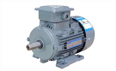 YE2系列高效率三相異步電動機(停產(chǎn)) YE2系列高效率三相異步電動機(停產(chǎn))