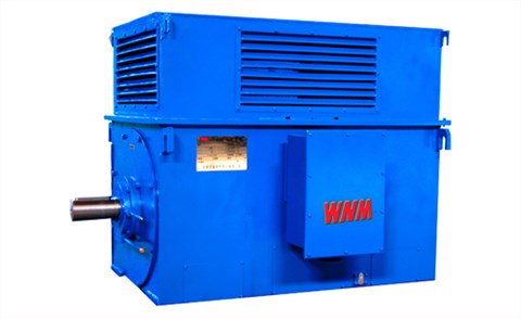 Y系列中型高壓高效電動機 Y系列中型高壓高效電動機