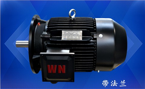 多級(jí)泵專用電機(jī) 多級(jí)泵專用電機(jī)