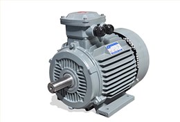 YFB3系列高效率粉塵防爆三相異步電動(dòng) YFB3系列高效率粉塵防爆三相異步電動(dòng)