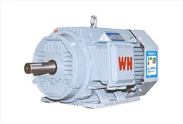 YE5系列三相異步電動(dòng)機(jī) YE5系列三相異步電動(dòng)機(jī)