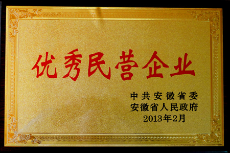 皖南電機(jī):優(yōu)秀民營企業(yè) 皖南電機(jī):優(yōu)秀民營企業(yè)