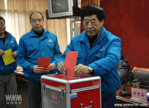 皖南電機(jī)陳根喜、管兵在投票現(xiàn)場