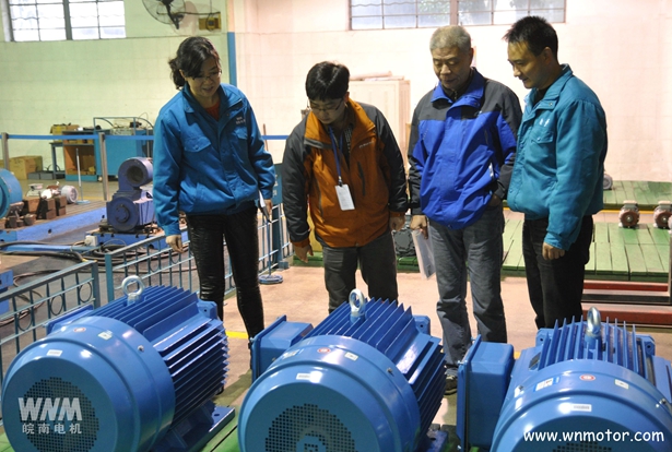 高效電動機(jī) 高效電動機(jī)