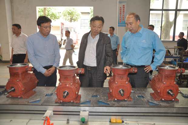 省自然資源廳副廳長(zhǎng)潘海濱(中)在皖南電機(jī)車間調(diào)研 省自然資源廳副廳長(zhǎng)潘海濱(中)在皖南電機(jī)車間調(diào)研