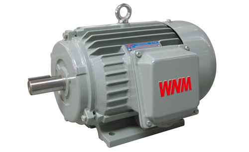 YJZ2系列機(jī)床專用三相異步電動(dòng)機(jī) YJZ2系列機(jī)床專用三相異步電動(dòng)機(jī)